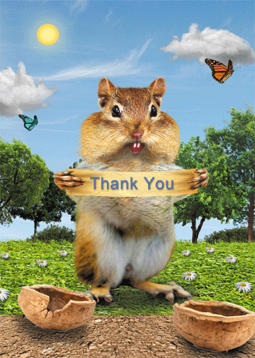 Lenticular Personalized 3D Thank you Cards Image Chipmunks